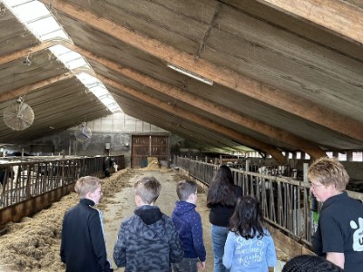 Foto-5-boerderij-Udink.jpg