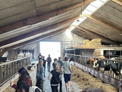 Foto-6-boerderij-Udink.jpg