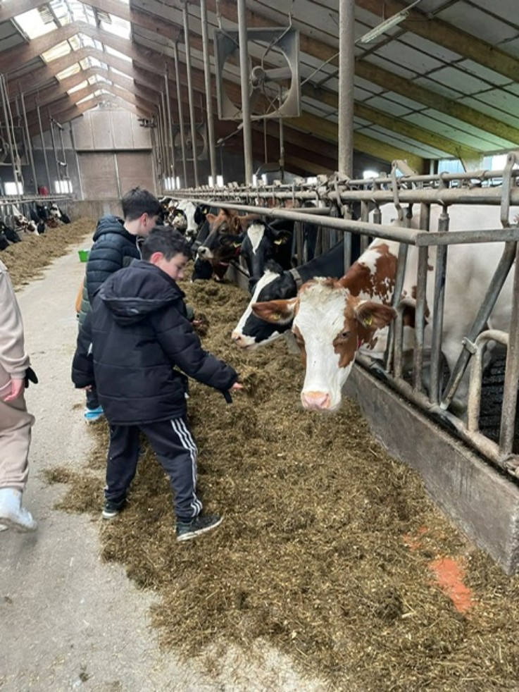 Melkveehouderij Het Hobbelt Enschede