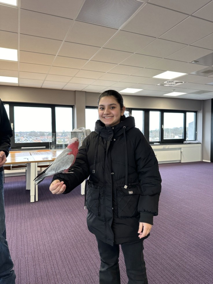 Thema 6: Dierenambulance