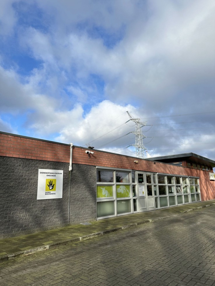 Thema 7: Dierenopvangcentrum