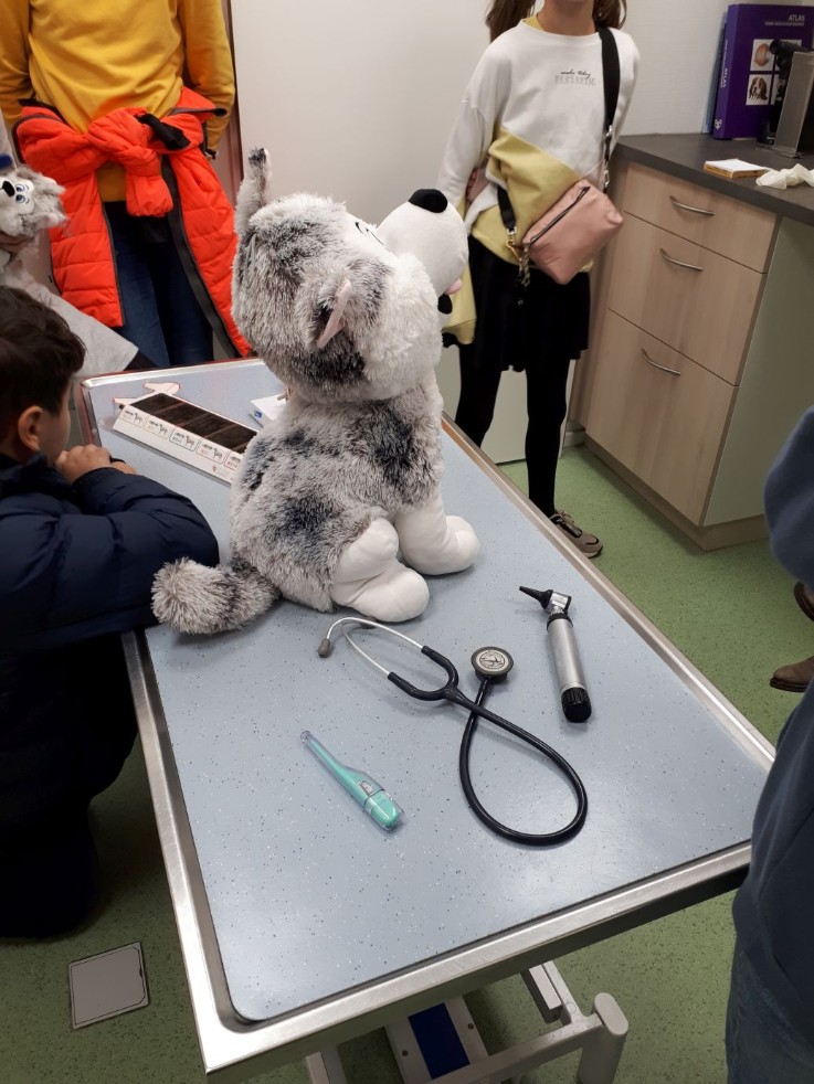 Thema ‘Dierenarts’